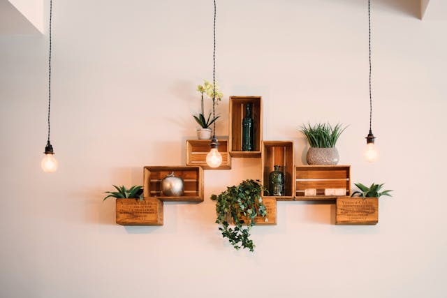Lightbulbs hanging in front of small wooden shelves